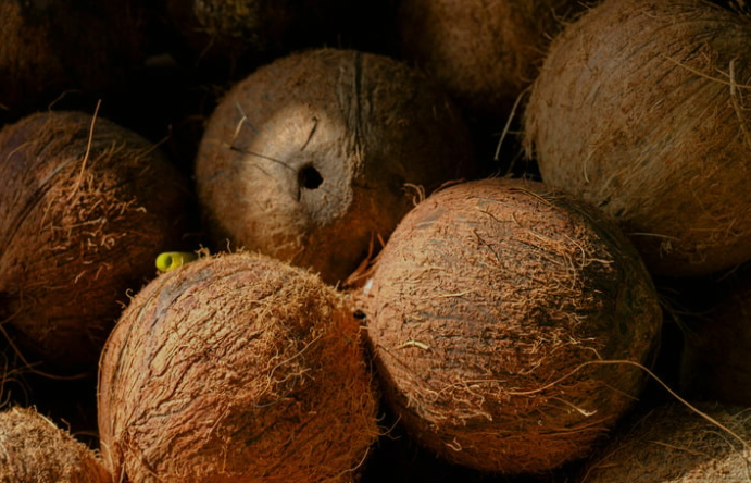 Coconut Shell