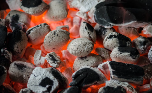 Coconut Charcoal